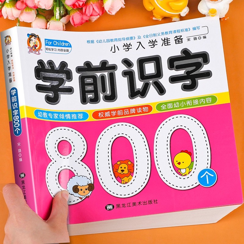 Дошкольная грамотность: 800 ки – обзор и цена Kids Education And You